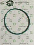 Cylinder sleeve water seal ring